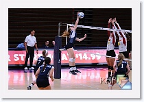 Set 4 * (192 Slides)